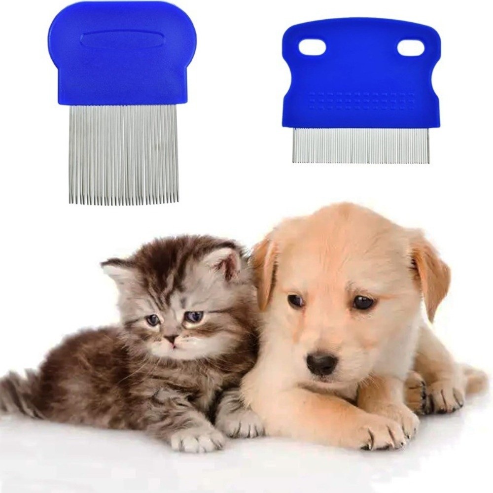 Ensemble de peignes anti-puces - Comb Fine Tooth avis et prix